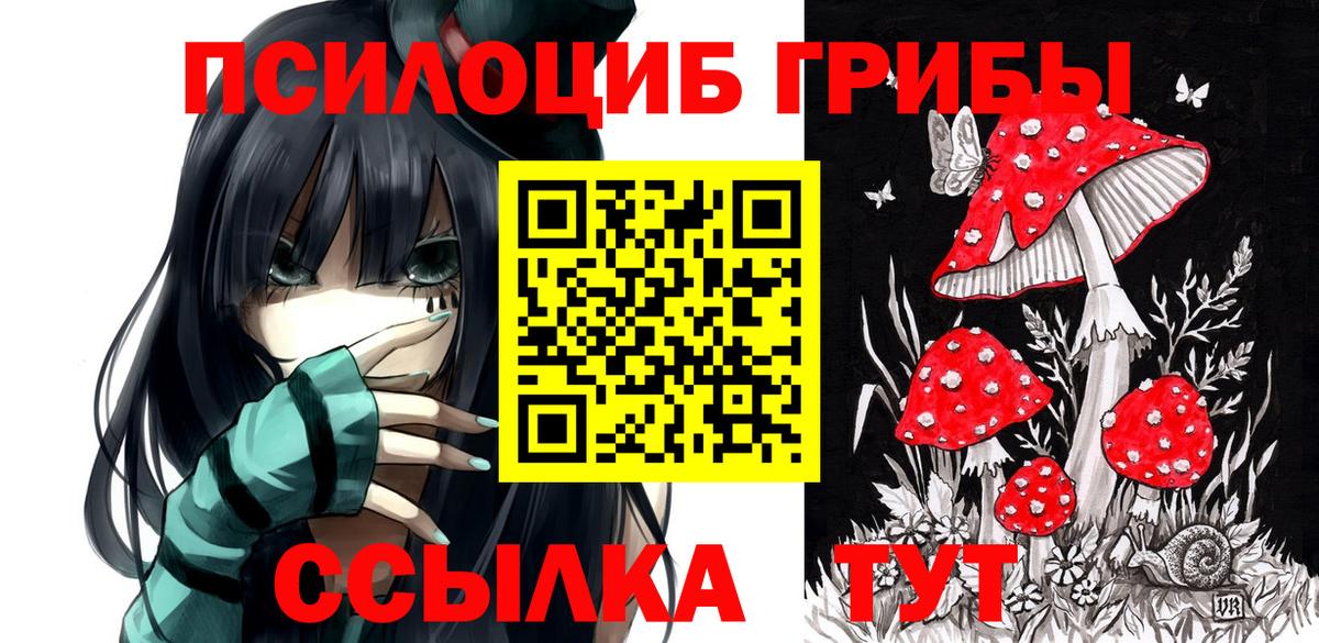 Псилоцибиновые грибы Magic Shrooms Камышин